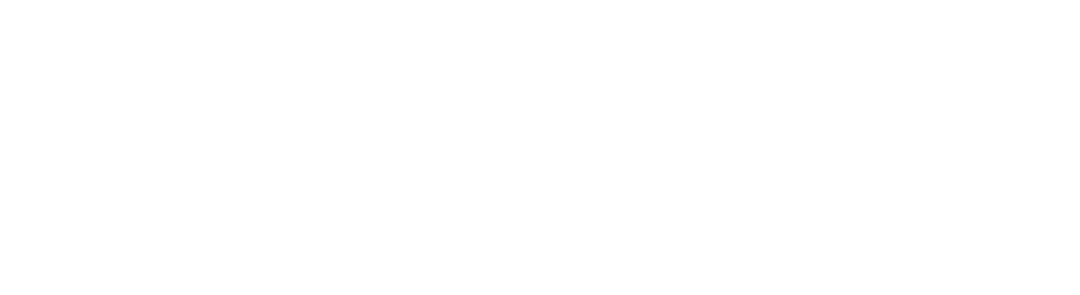 SVL Logo